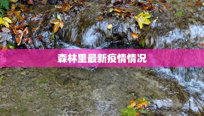 森林里最新疫情情况