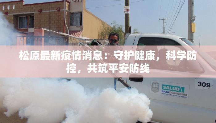 疫情最新实况湖北:守护家园,科学防控新篇章 疫情最新实况湖北:守护家园,科学防控新篇章