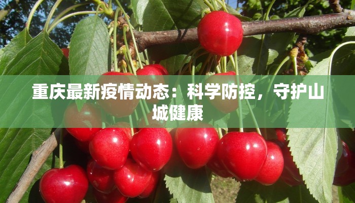 重庆最新疫情动态：科学防控，守护山城健康