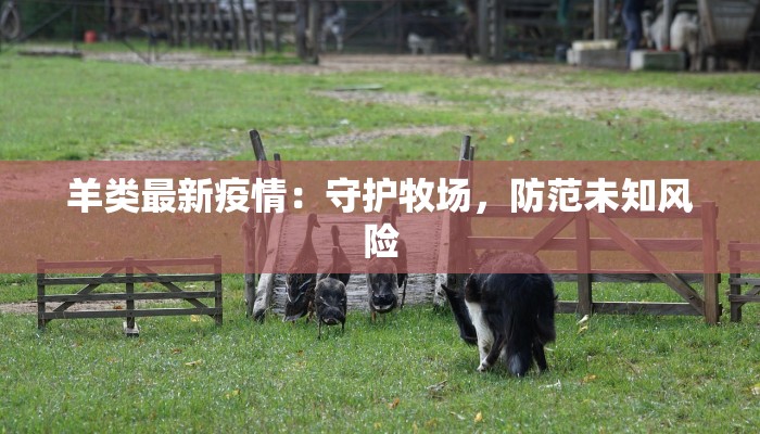 郑州楼盘最新疫情：安心置业，拥抱美好生活