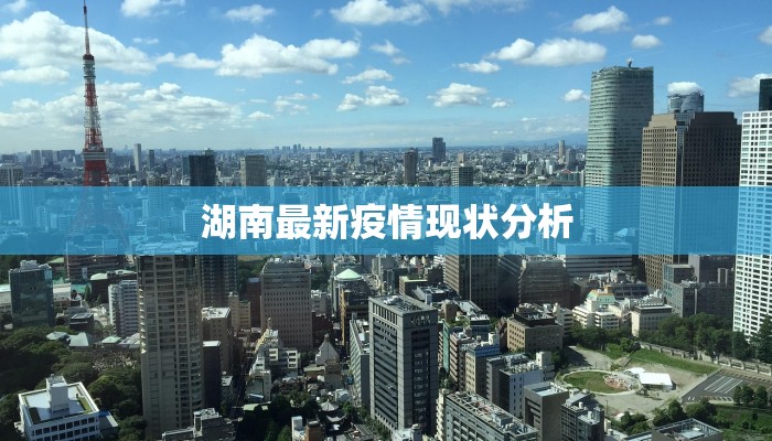 湖南最新疫情现状分析