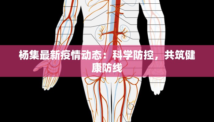 杨集最新疫情动态：科学防控，共筑健康防线