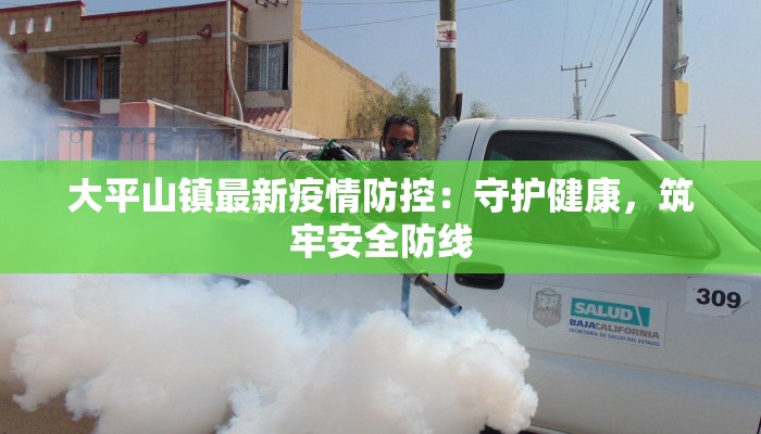 大平山镇最新疫情防控：守护健康，筑牢安全防线