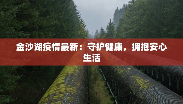 金沙湖疫情最新：守护健康，拥抱安心生活