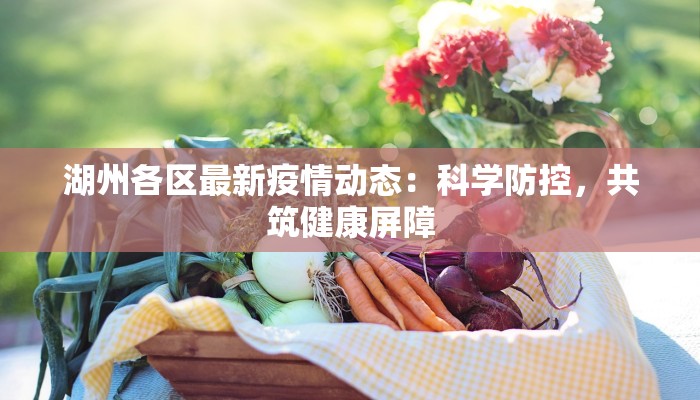 江海大院最新疫情：守护家园的温暖力量