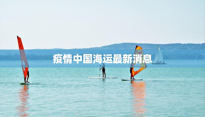 疫情中国海运最新消息 疫情中国海运最新消息