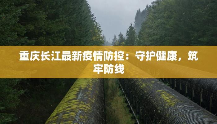 重庆长江最新疫情防控:守护健康,筑牢防线 重庆长江最新疫情防控:守护健康,筑牢防线