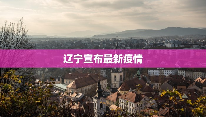 辽宁宣布最新疫情