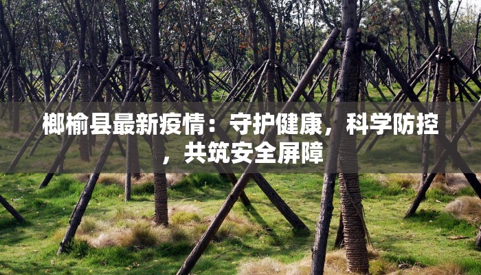 威海最新疫情乳山：守护家园的温暖力量