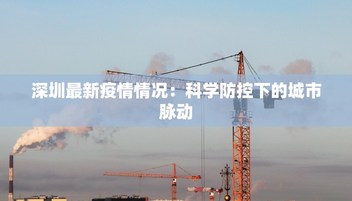 深圳最新疫情情况：科学防控下的城市脉动