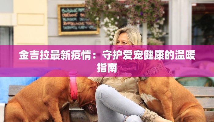 秦始皇最新疫情消息：穿越时空的健康守护